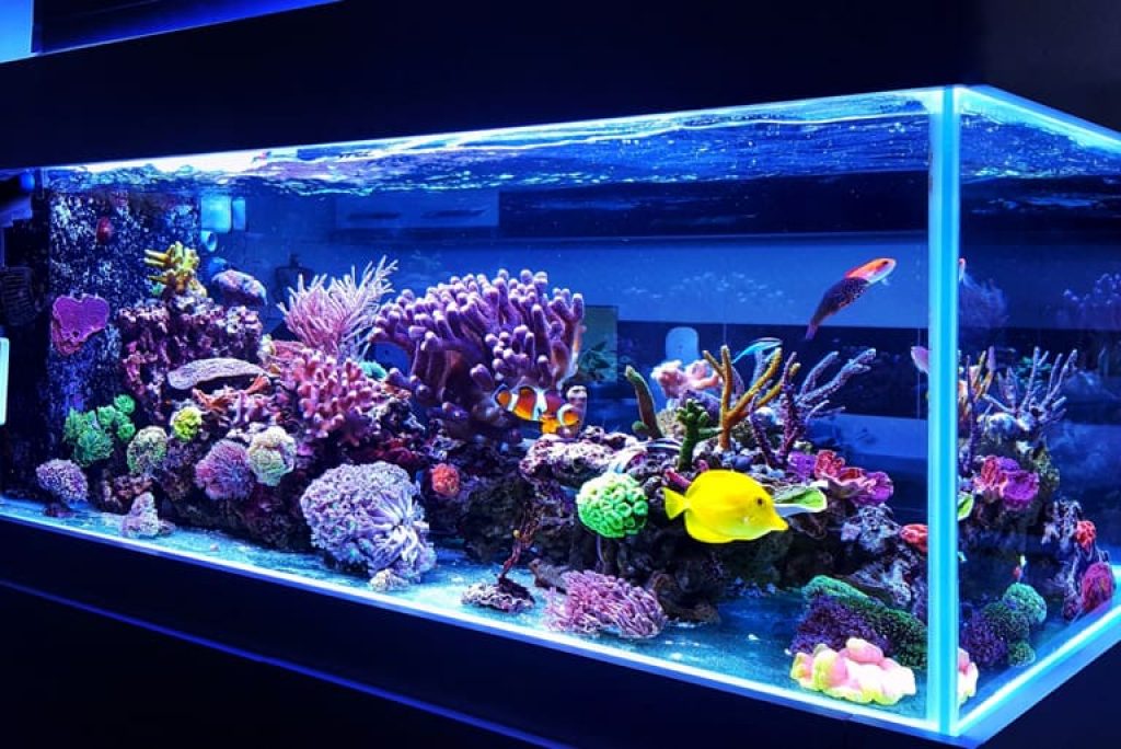 Top 5 Immersion Heaters of 2021 Best Reviews Guide