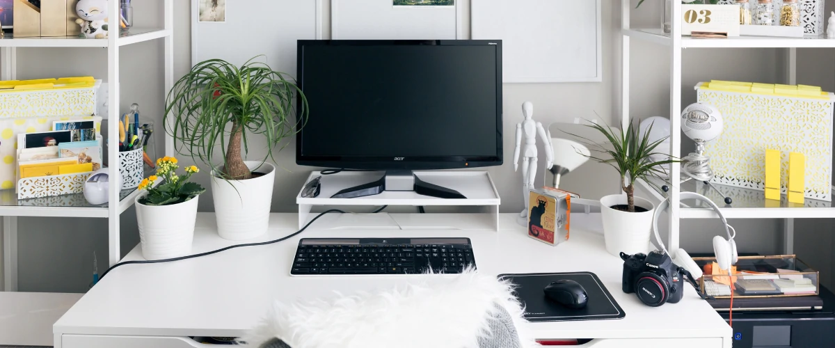 Best Computer Monitor