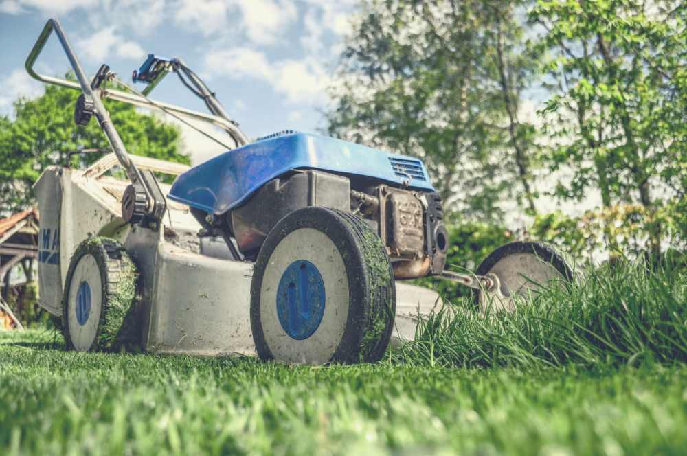 Garden Lawnmower