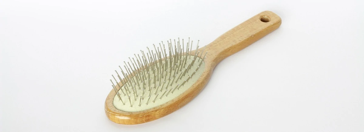 Hairbrush Cleaning