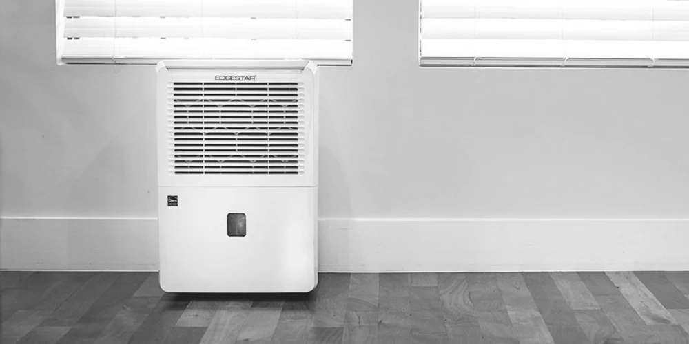 Signs That You Need a Dehumidifier