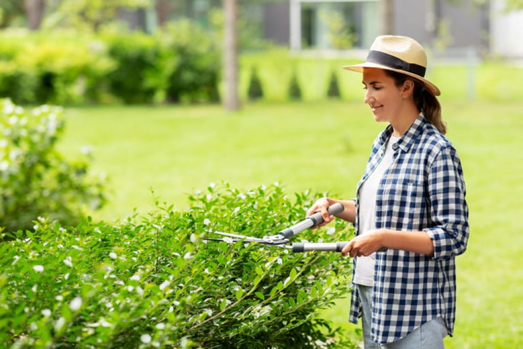 When to Use a Lopper and Tree Pruner Gardening Know How's