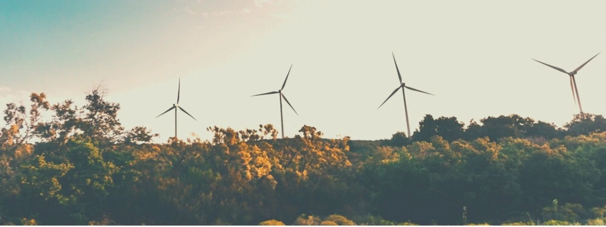 How To Save Energy With Appliances