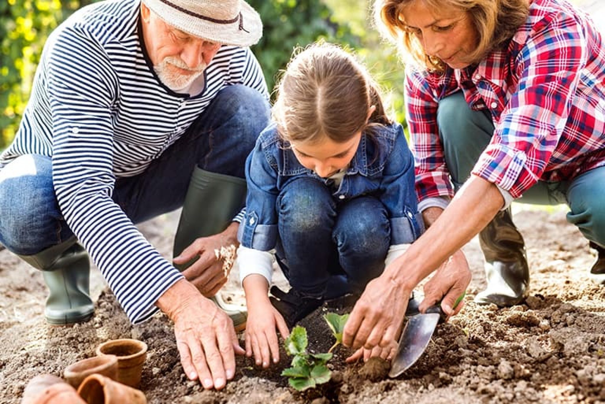 Using Gardening Trowels When and How to Use A Garden Trowel