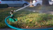 Best Garden Sprinklers 2021 – Buyer’s Guide
