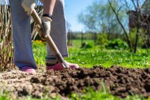 Our Top 10 Garden Digging Tools for Working the Soil